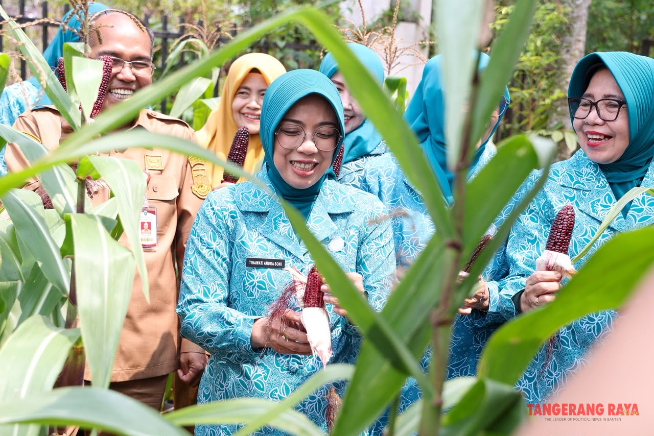Tinawati Panen Jagung, Pangan Dimulai dari Rumah