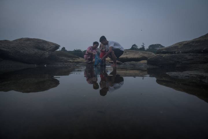 Ikan Mabuk di Cisadane, DLH Cek Kualitas Air