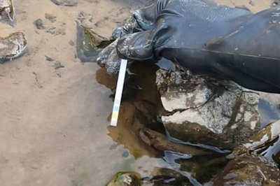 Polda Banten Selidiki Air Keruh di Lebak