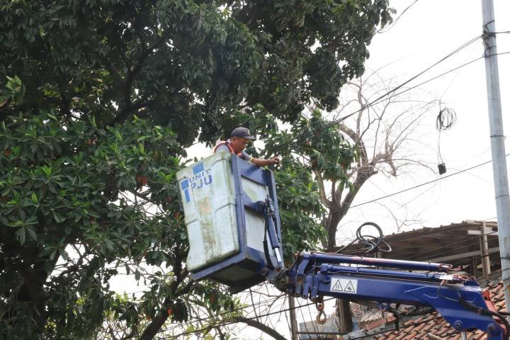 Dishub Kota Tangerang Perbaiki Kabel PJU Putus di Jalan M. Toha