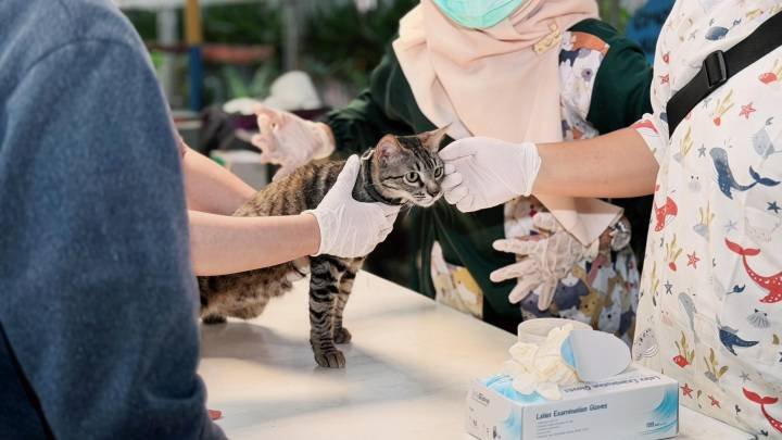 Pemkot Tangerang Kembali Buka Vaksinasi Rabies Gratis